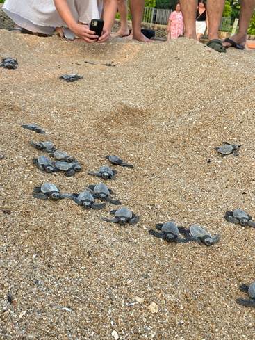 Dr Kathryn Smith – Stepping Stones Bursary